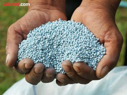Fertilizer prices will increase, financial burden on farmers, demand to stop linking | खतांच्या किमतीत होणार वाढ, शेतकऱ्यांवर आर्थिक भार, लिंकिंग थांबविण्याची मागणी Fertilizer prices will increase, financial burden on farmers, demand to stop linking | खतांच्या किमतीत होणार वाढ, शेतकऱ्यांवर आर्थिक भार, लिंकिंग थांबविण्याची मागणी