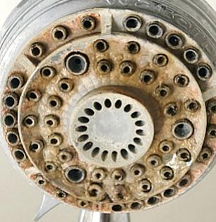 Shower Head Cleaning: शॉवरच्या छिद्रांमध्ये अडकलेली घाण हातही न लावता स्वच्छ करण्याचा भन्नाट उपाय 