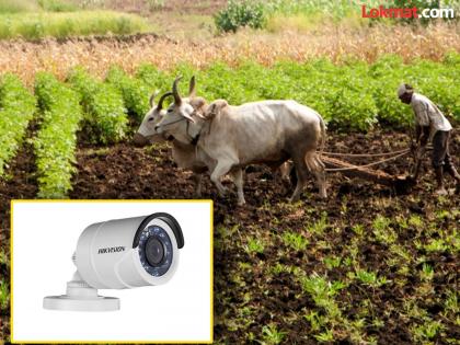 Farmers install CCTV cameras on farmland to protect against wild animals and thieves | शेतकऱ्यांनी वन्यप्राणी व चोरट्यांपासून बचाव करण्यासाठी शेतजमिनीवरच लावले सीसीटीव्ही कॅमेरे Farmers install CCTV cameras on farmland to protect against wild animals and thieves | शेतकऱ्यांनी वन्यप्राणी व चोरट्यांपासून बचाव करण्यासाठी शेतजमिनीवरच लावले सीसीटीव्ही कॅमेरे