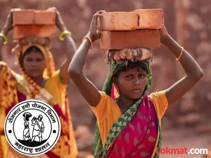 Terrible unemployment situation! D.Ed, B.Ed graduates are doing the work of 'rohayo' | बेरोजगारीची भीषण अवस्था ! डीएड, बीएड पदवीधर करताहेत 'रोहयोचे' काम Terrible unemployment situation! D.Ed, B.Ed graduates are doing the work of 'rohayo' | बेरोजगारीची भीषण अवस्था ! डीएड, बीएड पदवीधर करताहेत 'रोहयोचे' काम