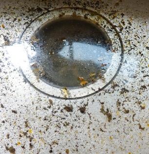 किचन सिंक सतत तुंबते? मूठभर हिरवीगार पानं करतील सिंक मोकळं - पाणी वाहून जाईल सेकंदात...