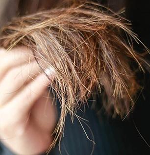 केसांची टोकं कोरडी पडली- फाटे फुटले? ५ टिप्स, केस होतील मऊ-सिल्की आणि चमकदार 