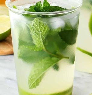 आता वर्षभर प्या पुदिन्याच्या पानांचे हिरवेगार सरबत! पाहा ही युक्ती, ताजा पुदिना नसला तरी...