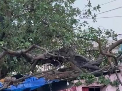 Delhi Rains unseasonal storm rain devastated ajay family wife jyoti three children returned delhi from kanpur village 20 days ago dies | Delhi Rains : हृदयद्रावक! मुसळधार पावसामुळे उद्ध्वस्त झालं कुटुंब; २० दिवसांपूर्वी आलेल्या ४ जणांचा मृत्यू Delhi Rains unseasonal storm rain devastated ajay family wife jyoti three children returned delhi from kanpur village 20 days ago dies | Delhi Rains : हृदयद्रावक! मुसळधार पावसामुळे उद्ध्वस्त झालं कुटुंब; २० दिवसांपूर्वी आलेल्या ४ जणांचा मृत्यू