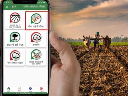 Many farmers deprived of registration due to glitch in e-Peak Pahani app | ई-पीक पाहणी ॲपमध्ये बिघाड आल्याने अनेक शेतकरी नोंदणीपासून वंचित Many farmers deprived of registration due to glitch in e-Peak Pahani app | ई-पीक पाहणी ॲपमध्ये बिघाड आल्याने अनेक शेतकरी नोंदणीपासून वंचित