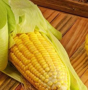 पावसाळ्यात भाजलेल्या कणसासोबत हे पदार्थही खा, पाहा मक्याचे स्वादिष्ट पदार्थ