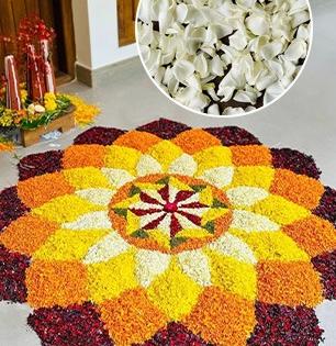 रांगोळी काढताना फुलांच्या पाकळ्यांचा रंग बदलण्याची भन्नाट ट्रिक- रांगोळी होईल आणखी देखणी