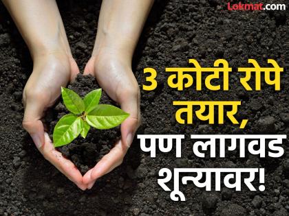Tree plantation in the state has come to a standstill, funds of Rs 568 crore are likely to be wasted without being utilized. | राज्यात वृक्षारोपण ठप्प, ५६८ कोटींचा निधी वापरात न येता वाया जाण्याची शक्यता Tree plantation in the state has come to a standstill, funds of Rs 568 crore are likely to be wasted without being utilized. | राज्यात वृक्षारोपण ठप्प, ५६८ कोटींचा निधी वापरात न येता वाया जाण्याची शक्यता