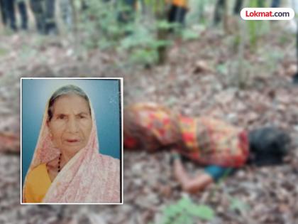A tiger killed a woman who had gone to collect locusts. | मोह टोळ वेचणीसाठी गेलेल्या महिलेचा वाघाने घेतला बळी
