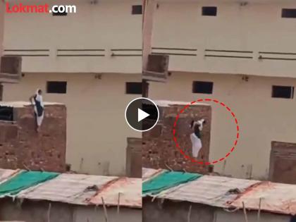 married woman absconded by jumping from the roof of the hotel in up baghpat | Video - हॉटेलमध्ये बॉयफ्रेंडसोबत नवऱ्याने रंगेहाथ पकडताच 'ती' झाली स्पायडरमॅन, थेट छतावरुन... married woman absconded by jumping from the roof of the hotel in up baghpat | Video - हॉटेलमध्ये बॉयफ्रेंडसोबत नवऱ्याने रंगेहाथ पकडताच 'ती' झाली स्पायडरमॅन, थेट छतावरुन...