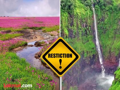 Restrictions on tourist spots in Satara till August 19; Including waterfalls, Kaas plateau, places in Mahabaleshwar and dams | साताऱ्यातील पर्यटनस्थळांवर १९ ऑगस्टपर्यंत निर्बंध; धबधब्यांसह कास पठार, महाबळेश्वरमधील स्थळे अन् धरणांचाही समावेश Restrictions on tourist spots in Satara till August 19; Including waterfalls, Kaas plateau, places in Mahabaleshwar and dams | साताऱ्यातील पर्यटनस्थळांवर १९ ऑगस्टपर्यंत निर्बंध; धबधब्यांसह कास पठार, महाबळेश्वरमधील स्थळे अन् धरणांचाही समावेश