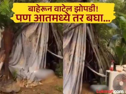 Viral Video: Did you think it was a hut just by looking at the tarpaulin and thatch? If you look inside, you'll be shocked! | Viral Video : ताडपत्री अन् झावळ्या बघून झोपडी समजलात का? आत वाकून बघाल तर शॉकच व्हाल! Viral Video: Did you think it was a hut just by looking at the tarpaulin and thatch? If you look inside, you'll be shocked! | Viral Video : ताडपत्री अन् झावळ्या बघून झोपडी समजलात का? आत वाकून बघाल तर शॉकच व्हाल!