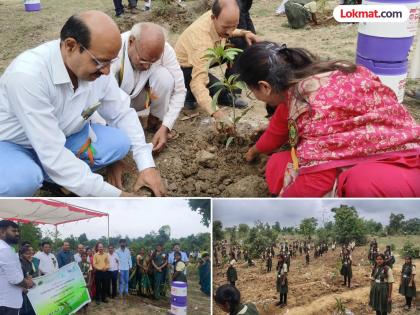 One thousand saplings planted in one minute in Sadak Arjuni taluka | सडक अर्जुनी तालुक्यात एक मिनिटात लावली एक हजार रोपटी One thousand saplings planted in one minute in Sadak Arjuni taluka | सडक अर्जुनी तालुक्यात एक मिनिटात लावली एक हजार रोपटी