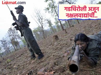 Waiting for a Naxal-free Gadchiroli! Four talukas in Gondia are still affected by Naxals | नक्षलमुक्त गडचिरोलीची प्रतीक्षाच ! गोंदियातील चार तालुके अजूनही नक्षलग्रस्तच Waiting for a Naxal-free Gadchiroli! Four talukas in Gondia are still affected by Naxals | नक्षलमुक्त गडचिरोलीची प्रतीक्षाच ! गोंदियातील चार तालुके अजूनही नक्षलग्रस्तच