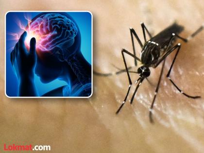 Most deaths from mosquitoes are due to serious brain diseases. | डासांमुळे होणारे बहुतेक मृत्यू हे मेंदूच्या गंभीर आजारांमुळे Most deaths from mosquitoes are due to serious brain diseases. | डासांमुळे होणारे बहुतेक मृत्यू हे मेंदूच्या गंभीर आजारांमुळे