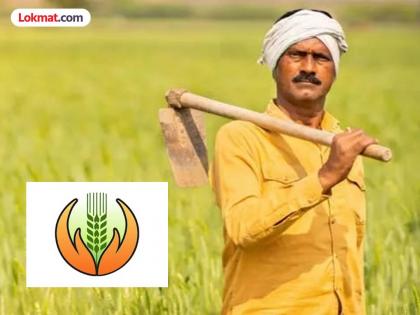 Centralization of crop insurance scheme; Confusion in harvesting experiment inevitable! | पीकविमा योजनेचे केंद्रीकरण; कापणी प्रयोगात गोंधळ अटळ ! Centralization of crop insurance scheme; Confusion in harvesting experiment inevitable! | पीकविमा योजनेचे केंद्रीकरण; कापणी प्रयोगात गोंधळ अटळ !