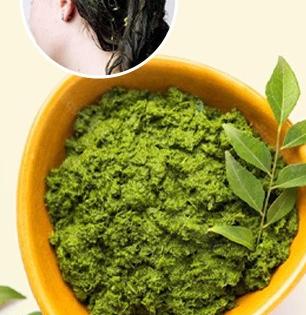 केसाची शेपटी झाली-खूपच गळतात? ५ रूपयांचा कढीपत्ता 'या' पद्धतीनं लावा, केसांत येईल जान