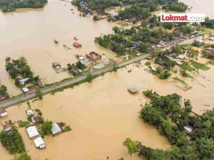 A repeat of the 2002 floods in Yavatmal? Crop damage on 19 thousand hectares, 27 animals killed | यवतमाळमध्ये २००२ च्या पूराची पुनरावृत्ती? १९ हजार हेक्टरवरील पिकाचे नुकसान, २७ जनावरांचे बळी