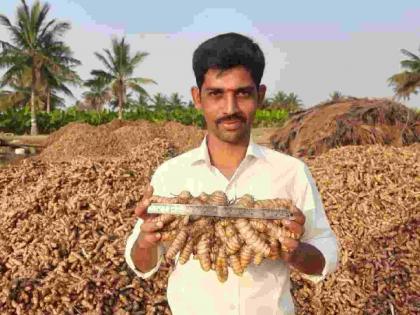 Farmers' demand is strong; Futures market is essential for turmeric! | शेतकऱ्यांची मागणी ठाम ; हळदीसाठी वायदे बाजार आवश्यकच!