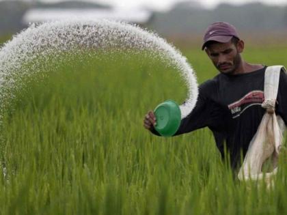 Where is the government sleeping? Farmers are being robbed in the name of fertilizers! | शासन कुठे झोपलंय? खतांच्या नावाखाली शेतकऱ्यांची लूट सुरूच!