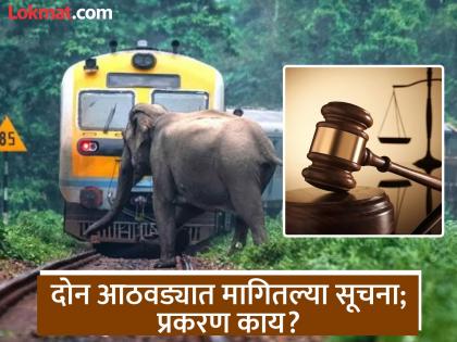 Don't blame us if we order to reduce the speed of trains! Court reprimands the central government | Nagpur : 'आदेश दिल्यानंतर आम्हाला दोष देऊ नका'; उच्च न्यायालय संतापले, केंद्र सरकारला झापले