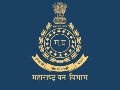 Amravati: Maharashtra's forest department will be the first in the country to provide Thar, Scorpio vehicles to forest officials | Amravati : वनाधिकाऱ्यांना थार, स्कार्पिओ वाहने देणारा महाराष्ट्राचा वन विभाग देशात पहिला ठरणार Amravati: Maharashtra's forest department will be the first in the country to provide Thar, Scorpio vehicles to forest officials | Amravati : वनाधिकाऱ्यांना थार, स्कार्पिओ वाहने देणारा महाराष्ट्राचा वन विभाग देशात पहिला ठरणार