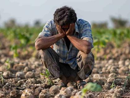 Gadchiroli: Brokers eye farmers' land; first lure, then purchase of mutual lands | गडचिरोली: शेतकऱ्यांच्या जमिनीवर दलालांचा डोळा; आधी आमिष, नंतर परस्पर जमिनींची खरेदी