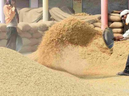 The main accused among the 17 accused in the paddy purchase scam is in police custody. | धान खरेदी घोटाळ्यातील १७ आरोपींपैकी प्रमुख आरोपी पोलिसांच्या ताब्यात The main accused among the 17 accused in the paddy purchase scam is in police custody. | धान खरेदी घोटाळ्यातील १७ आरोपींपैकी प्रमुख आरोपी पोलिसांच्या ताब्यात
