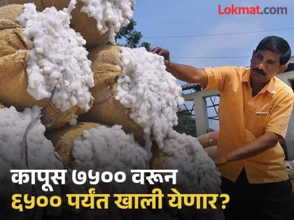 Farmers' cotton prices will fall due to cheap foreign cotton; Farmers are unhappy with the center's policy | परदेशी स्वस्त कापसामुळे शेतकऱ्यांच्या कापसाचे भाव पडणार; केंद्राच्या धोरणावर शेतकरी नाराज