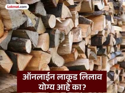 Is online timber auction right? Problems faced by ordinary buyers due to online sales system | ऑनलाईन लाकूड लिलाव योग्य आहे का? ऑनलाईन विक्री प्रणालीमुळे सामान्य खरेदीदारांसमोर अडचणी Is online timber auction right? Problems faced by ordinary buyers due to online sales system | ऑनलाईन लाकूड लिलाव योग्य आहे का? ऑनलाईन विक्री प्रणालीमुळे सामान्य खरेदीदारांसमोर अडचणी
