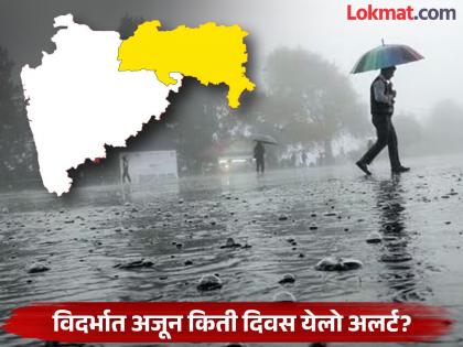 How many more days will the rains continue in Vidarbha? 115 mm of rain in one night in Chandrapur, normal life disrupted | विदर्भात अजून किती दिवस पावसाचा मुक्काम? चंद्रपूरमध्ये एका रात्रीत ११५ मि.मी पाऊस, जनजीवन झाले विस्कळीत How many more days will the rains continue in Vidarbha? 115 mm of rain in one night in Chandrapur, normal life disrupted | विदर्भात अजून किती दिवस पावसाचा मुक्काम? चंद्रपूरमध्ये एका रात्रीत ११५ मि.मी पाऊस, जनजीवन झाले विस्कळीत