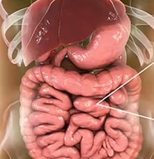 संडासला साफ होत नाही? चिमूटभर काळ्या मिठाचा १ उपाय-सकाळी पोट साफ होईल चटकन