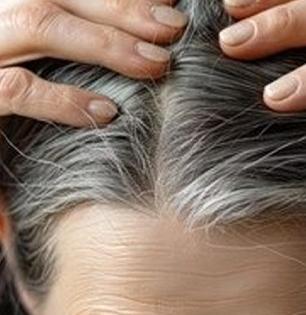 पांढरे केस खूपच चमकताहेत? जावेद हबीब सांगतात खास उपाय, काळेभोर, चमकदार होतील केस