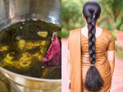 स्काल्पला टक्कल दिसतंय? मोहोरीच्या तेलात हा पदार्थ घालून लावा, कंबरेपर्यंत लांब-दाट होतील केस - Marathi News | How To Grow Hairs Faster : Hair Fall Control Tips Apply Mustard Oil For Hair Fall Control | Latest sakhi News at Lokmat.com स्काल्पला टक्कल दिसतंय? मोहोरीच्या तेलात हा पदार्थ घालून लावा, कंबरेपर्यंत लांब-दाट होतील केस - Marathi News | How To Grow Hairs Faster : Hair Fall Control Tips Apply Mustard Oil For Hair Fall Control | Latest sakhi News at Lokmat.com