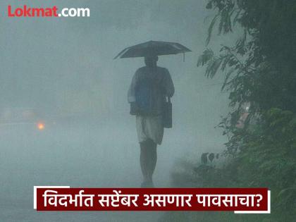 Vidarbha Rain News : Heavy rains in most districts of Vidarbha for the next two days! Will the entire month of September remain rainy? | Vidarbha Rain News : पुढचे दाेन दिवस विदर्भाच्या बहुतेक जिल्ह्यात मुसळधार ! पूर्ण सप्टेंबर महिना राहणार पावसाळी?