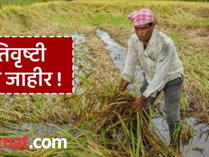 Ativrushti Nuksan Bharpai : Relief for 13 thousand 742 farmers of Chandrapur! After three months, they will get Rs 7 crores in due time. | Ativrushti Nuksan Bharpai : चंद्रपुरातील १३ हजार ७४२ शेतकऱ्यांना दिलासा ! तीन महिन्यांनंतर मिळणार अवकाळीचे ७ कोटी
