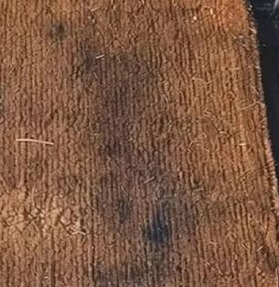 न धुता पाय पुसणी स्वच्छ करण्याची खास ट्रिक; मळकट, काळी पायपुसणी दिसेल स्वच्छ