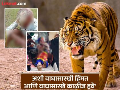 Death came in front of them but they chose to fight; The cowherd repelled the attack of the tiger and the calves | Tiger Attack: समोर मृत्यू आला पण त्यांनी संघर्ष निवडला; गुराख्याने परतवला वाघ आणि बछड्यांचा हल्ला