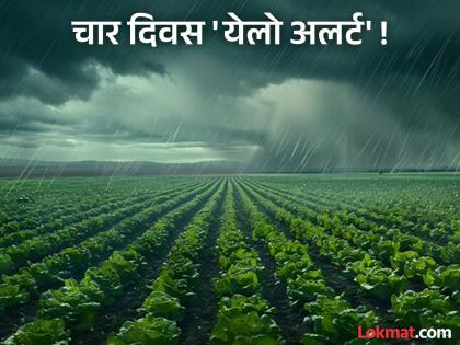 Rain forecast in most parts of 'Ya' district of Vidarbha for four days, which crops will be affected? | विदर्भातील 'या' जिल्ह्यात चार दिवस बहुतांश भागांत पावसाचा अंदाज, कोणत्या पिकांना बसणार फटका?