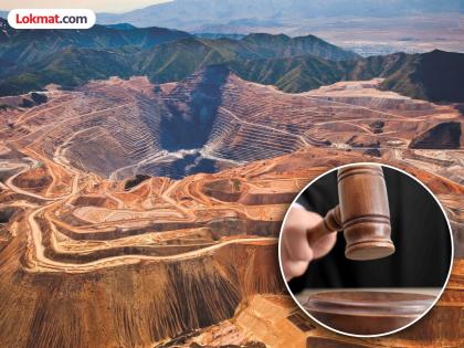 सुरजागड खाण प्रकरण, सर्वोच्च न्यायालयाने याचिकाकर्त्याला फटकारले