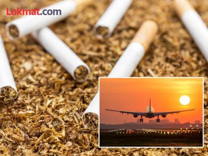 दुबईहुन नागपुरात आणल्या कोरियन ब्रँडच्या सिगारेट्स ! परदेशी सिगारेटची सर्वात मोठी तस्करी उघडकीस