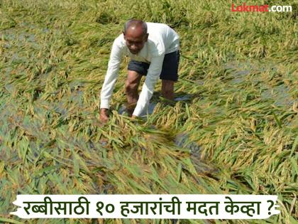१.९० लाख शेतकऱ्यांना १८१ कोटींची मदत केव्हा? वाढीव निकषाने शासन मदत मिळालीच नाही
