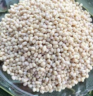 फोडणीत उडदाच्या डाळीचे चार दाणे घालायची पद्धत का आहे? ही साधी डाळ आरोग्यासाठी ठरते फायद्याची , नियमित खा कारण ..