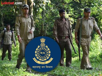 १३२ वनपालांची पदोन्नती रखडली; वनक्षेत्रपाल नियुक्तीची फाइल मंत्रालयात अडकली