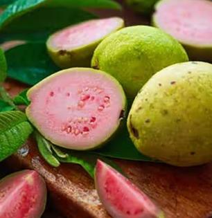 महागड्या फळांपेक्षा कित्येक पटीने जास्त पौष्टिक आहे पेरू! 'हे' फायदे वाचाल तर रोज आठवणीने खाल.. 