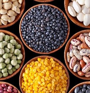 मूग, तूर आणि चण्याची डाळ- कोणती डाळ खाल्ल्यानं शरीराला काय फायदा होतो, समजून घ्या