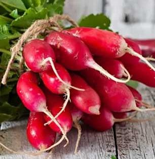 थंडीत मुळा खावा पण लाल की पांढरा-कोणता मुळा खाल्ल्यानं शरीराला फायदा होतो?