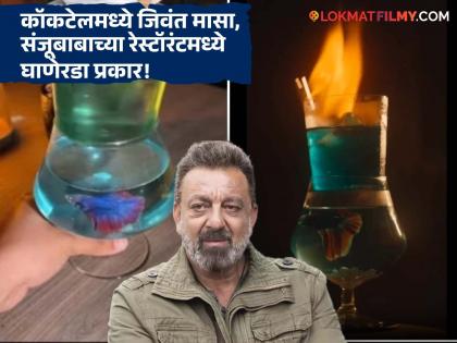 हा काय घाणेरडा प्रकार? संजय दत्तच्या रेस्टॉरंटमध्ये जिवंत माश्याचं कॉकटेल, सोशल मीडियावर संताप - Marathi News | sanjay dutt newly opened restaurant in mumbai served live fish cocktail removed menu after trolling | Latest filmy News at Lokmat.com