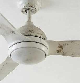 स्टूलवर न चढता पंखा स्वच्छ करण्याची खास युक्ती! धुळीनं माखलेला पंखा दिसेल स्वच्छ-नवाकोरा