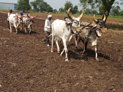 1.54 lakh farmers in the district got two thousand of namo shetkari sanman yojana | नमो सन्मान योजना... वाशिममधील १.५४ लाख शेतकऱ्यांना मिळाले दोन हजार